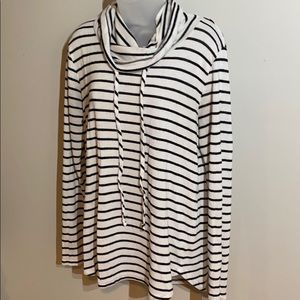 StitchFix Poplar Cowl Neck Brushed Knit Top